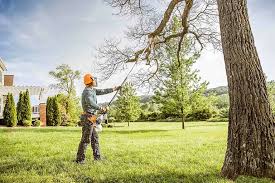 Tree and Shrub Care in Marshall, MI